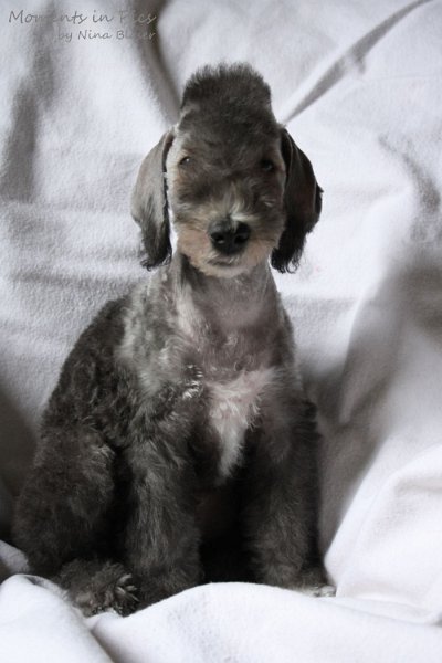 Antares 2009-08-01 & 02 (18).JPG